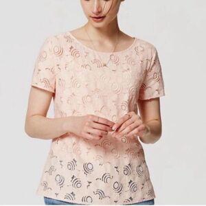 Loft S Women's Peachy Pink Lace Peplum Back Embroidered Short Sleeve Blouse NWT